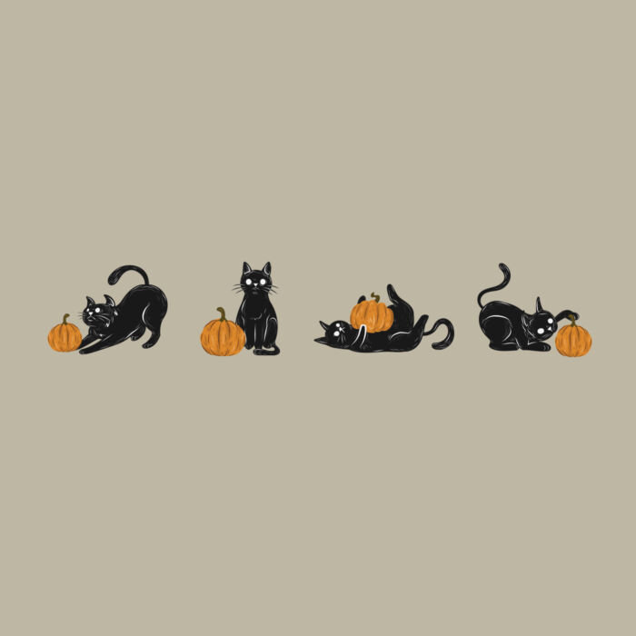 Fall black cats playing with pumpkins